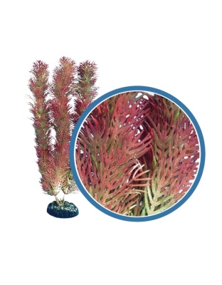 Weco Products Freshwater Pro Series Cabomba Aquarium Plant Red, 1ea/9 in