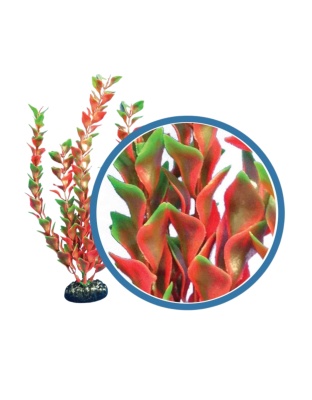 Weco Products Freshwater Pro Series Ludwigia Aquarium Plant Red, 1ea/6 in