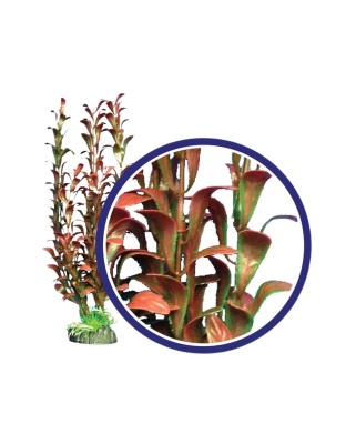 Weco Products Freshwater Series Hygrophilia Aquarium Plant Red, 1ea/6 in
