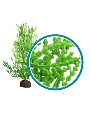 Weco Products Marine Pro Series Giant Halimeda Aquarium Plant Green, 1ea/18 in