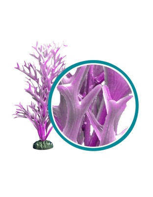 Weco Products Marine Pro Series Giant Kelp Aquarium Plant Purple, 1ea/9 in, Giant