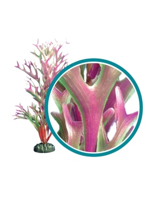 Weco Products Marine Pro Series Giant Kelp Aquarium Plant Red, 1ea/24 in, Giant