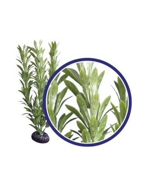Weco Products Freshwater Series Anacharis Aquarium Plant Green, 1ea/6 in