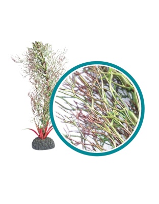 Weco Products Marine Pro Series Fine Branch Kelp Aquarium Plant Green, 1ea/24 in