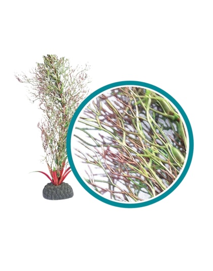 Weco Products Marine Pro Series Fine Branch Kelp Aquarium Plant Green, 1ea/24 in