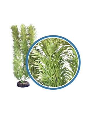 Weco Products Freshwater Pro Series Cabomba Aquarium Plant Green, 1ea/9 in