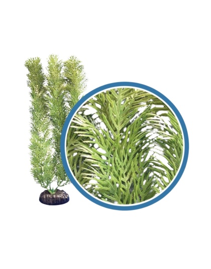 Weco Products Freshwater Pro Series Cabomba Aquarium Plant Green, 1ea/9 in