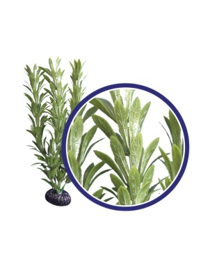 Weco Products Freshwater Series Anacharis Aquarium Plant Green, 1ea/12 in