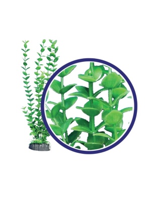 Weco Products Freshwater Series Bacopa Aquarium Plant Green, 1ea/9 in