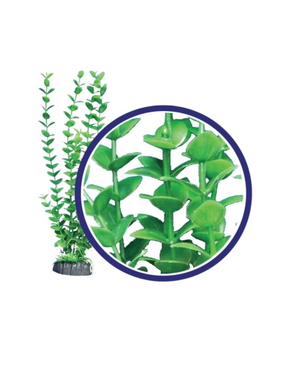 Weco Products Freshwater Series Bacopa Aquarium Plant Green, 1ea/9 in