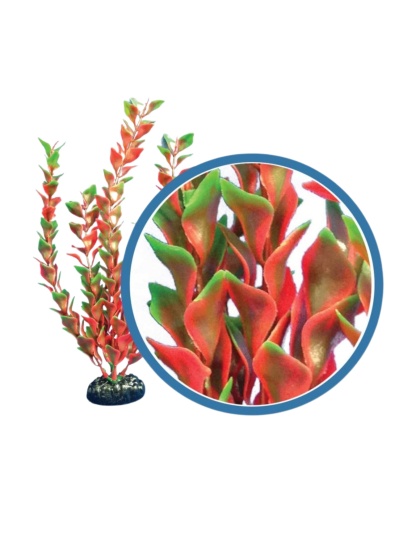 Weco Products Freshwater Pro Series Ludwigia Aquarium Plant Red, 1ea/24 in
