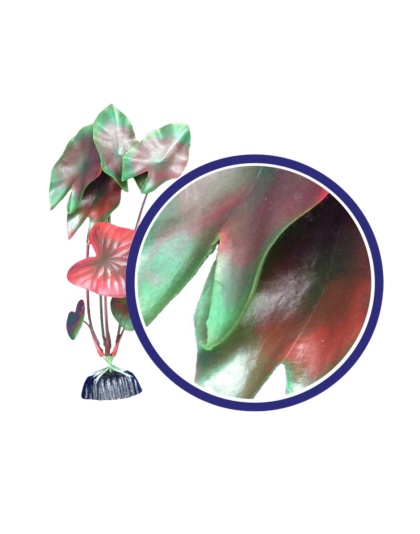 Weco Products Freshwater Series Tiger Lotus Aquarium Plant Red, 1ea/9 in