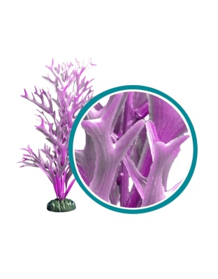 Weco Products Marine Pro Series Giant Kelp Aquarium Plant Purple, 1ea/24 in, Giant