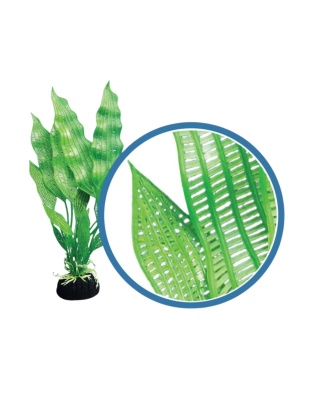 Weco Products Freshwater Pro Series Madagascar Lace Aquarium Plant Green, 1ea/6 in