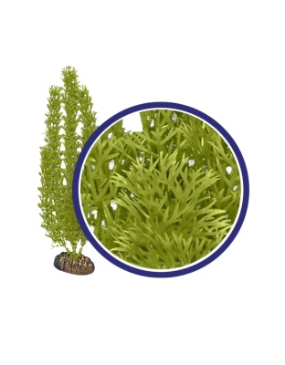 Weco Products Freshwater Series Foxtail Aquarium Plant Green, 1ea/9 in
