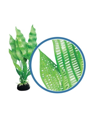 Weco Products Freshwater Pro Series Madagascar Lace Aquarium Plant Green, 1ea/9 in