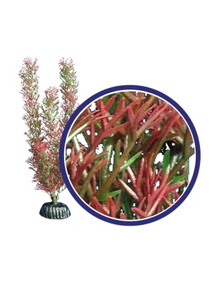 Weco Products Freshwater Series Foxtail Aquarium Plant Red, 1ea/9 in