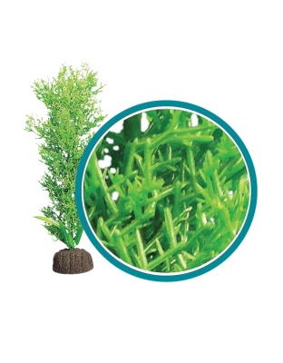 Weco Products Marine Pro Series Bushy Kelp Aquarium Plant Green, 1ea/12 in