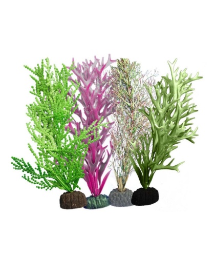 Weco Products Marine Plant 109 Assorted, 1ea/Multipack