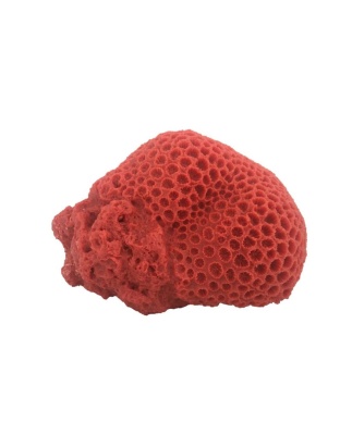 Weco Products South Pacific Coral Brain Ornament Orange, 1ea/LG