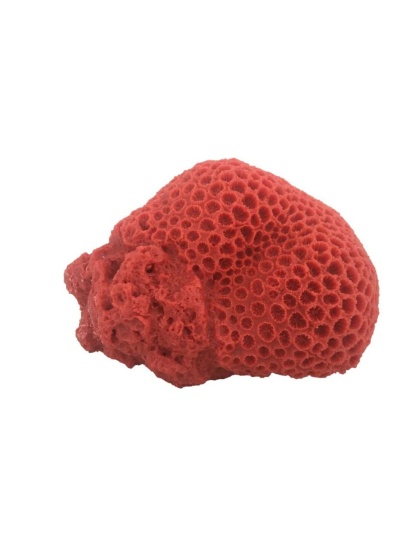 Weco Products South Pacific Coral Brain Ornament Orange, 1ea/LG