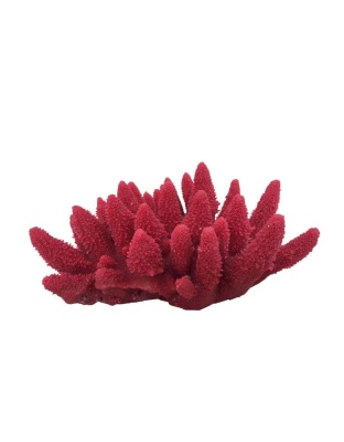 Weco Products South Pacific Coral Acorapora Humilis Ornament Rose, 1ea/MD