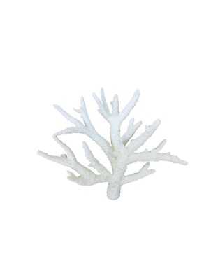 Weco Products South Pacific Coral Staghorn Ornament White, 1ea/MD