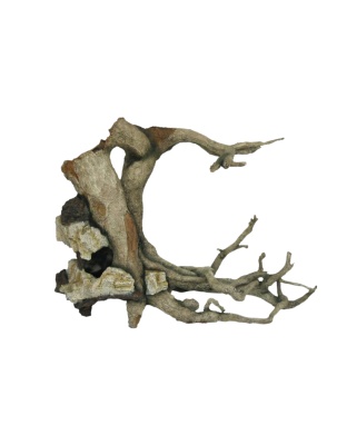 Weco Products Wecorama Aquarama Witch Tree Show Grey, Brown, 1ea