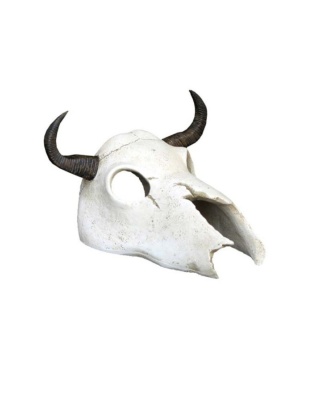 Weco Products Wecorama Catacombs Longhorn Skull Aquarium Ornament Black, White, 1ea
