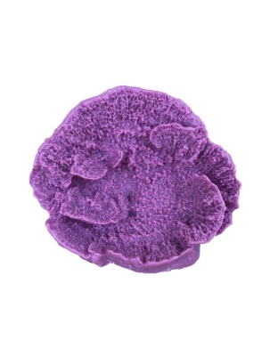 Weco Products South Pacific Coral Capricornis Ornament Lavender, 1ea/SM