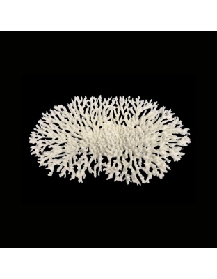 Weco Products South Pacific Coral Oval Tabletop Ornament White, 1ea/LG
