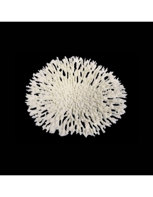 Weco Products South Pacific Coral Round Tabletop Ornament White, 1ea/LG