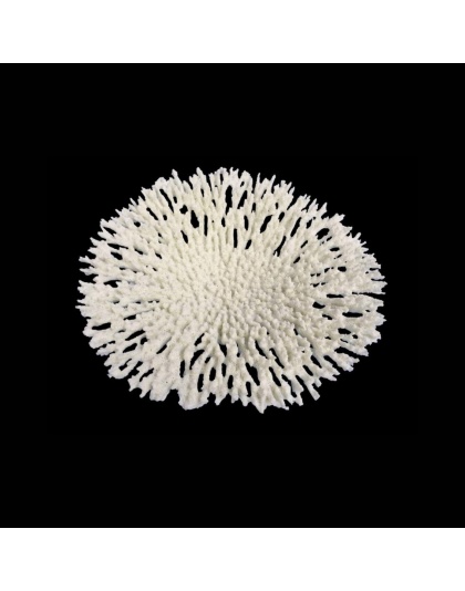 Weco Products South Pacific Coral Round Tabletop Ornament White, 1ea/LG