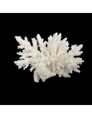 Weco Products South Pacific Coral Spiny Acorapora Ornament White, 1ea/SM
