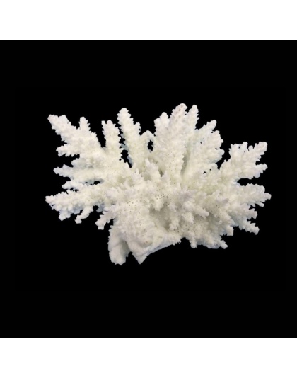 Weco Products South Pacific Coral Spiny Acorapora Ornament White, 1ea/SM