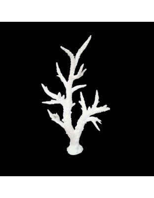 Weco Products South Pacific Coral Staghorn Tall Ornament White, 1ea/MD