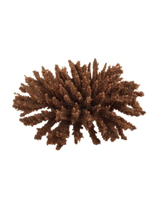 Weco Products South Pacific Coral Tabletop Ornament Brown, 1ea/SM