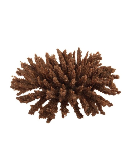 Weco Products South Pacific Coral Tabletop Ornament Brown, 1ea/SM