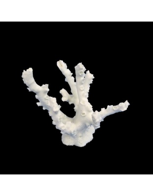 Weco Products South Pacific Coral Octopus Ornament White, 1ea/SM