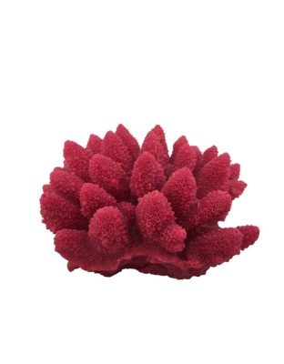 Weco Products South Pacific Coral Acorapora Humilis Ornament Rose, 1ea/SM