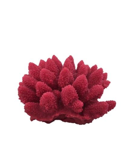 Weco Products South Pacific Coral Acorapora Humilis Ornament Rose, 1ea/SM