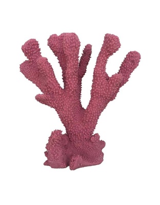 Weco Products South Pacific Coral Cats Paw Ornament Rose, 1ea/MD