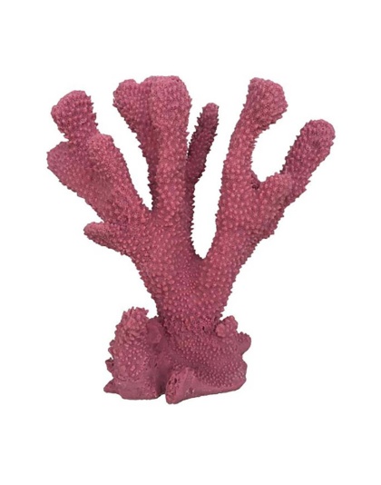 Weco Products South Pacific Coral Cats Paw Ornament Rose, 1ea/MD
