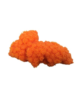 Weco Products South Pacific Coral Tubastrea Ornament Orange, 1ea/MD