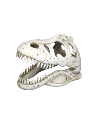 Weco Products Wecorama Catacombs T-REX Skull Aquarium Ornament White, 1ea