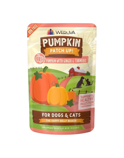 Weruva Dog Cat Pumpkin Ginger 1.05oz. Pouch (Case of 12)