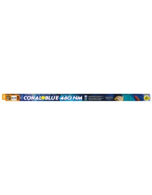 Zoo Med Coral Blue 460 NM T5 HO Lamp Blue 1ea/46 in