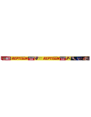 Zoo Med ReptiSun 10.0 UVB T5 HO High Output Lamp White 1ea/46 in