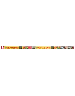 Zoo Med ReptiSun 10.0 UVB T8 Fluorescent Lamp White 1ea/36 in