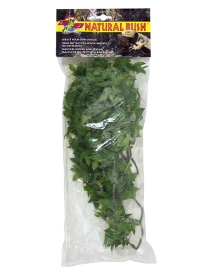 Zoo Med Natural Bush Congo Ivy Plants Green 1ea/18 in, MD